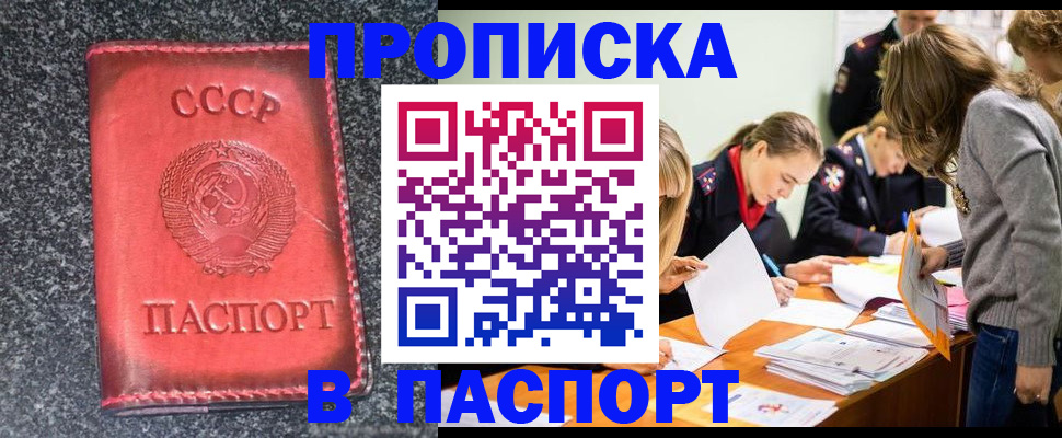 прописка для школы в Чкаловске